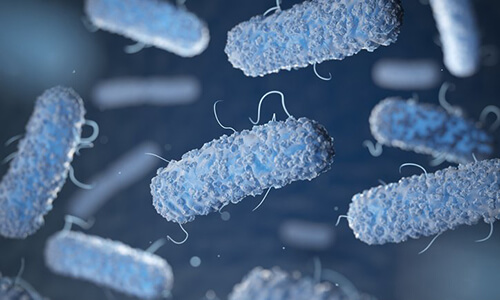 Bacterial antigens