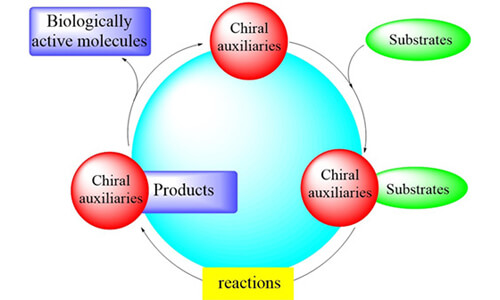 Chiral Auxiliaries