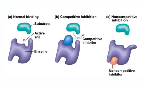 Enzyme inhibitors and enzyme substrates