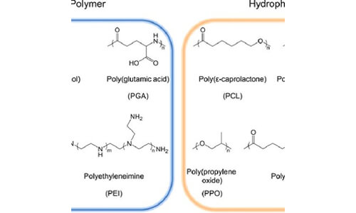 Hydrophilic Polymers