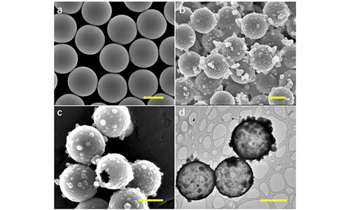 Polymeric Microspheres & Nanoparticles