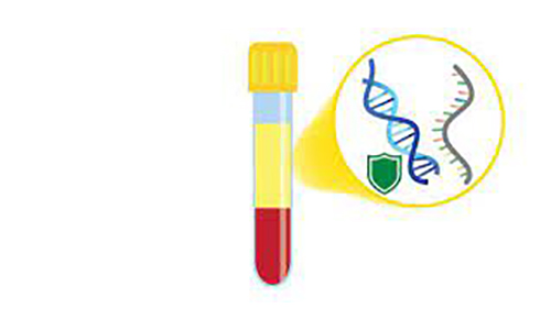 cf DNA和cf RNA收集与保存