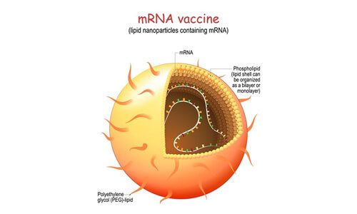 mRNA Vaccine Related Raw Materials