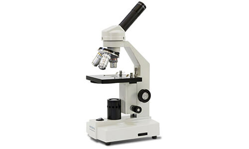 Microscope & Microscope Slides