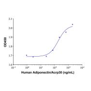 Recombinant Human Adiponectin/Acrp30 Protein(Active)