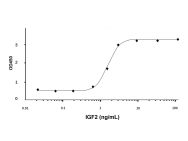 Recombinant Human IGF2 Protein(Active)