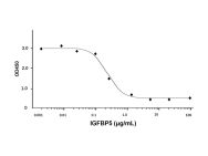 Recombinant Human IGFBP5 Protein(Active)
