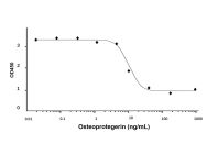 Recombinant Human Osteoprotegerin Protein(Active)