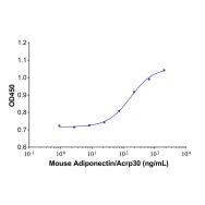 Recombinant Mouse Adiponectin/Acrp30 Protein(Active)