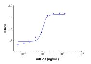 Recombinant Mouse IL-13 Protein(Active)