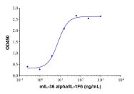 Recombinant Mouse IL-36 alpha/IL-1F6 Protein(Active)