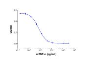 Recombinant Mouse TNF-alpha Protein(Active)