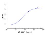 Recombinant Human LR3 IGF-1 Protein(Active)