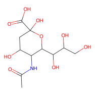 N-Acetylneuraminic acid