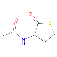 DL-N-乙酰高半胱氨酸硫代内酯