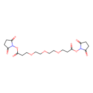 双-PEG3-琥珀酰亚胺酯