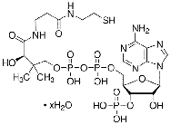 辅酶A水合物(游离酸)