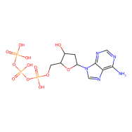 2'-Deoxyadenosine 5'-triphosphate [dATP] trisodium salt trihydrate