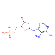2′-Deoxyadenosine 5′-monophosphate