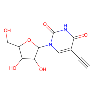 5-乙炔基尿苷(EU)