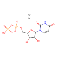 Uridine 5'-diphosphate disodium salt hydrate