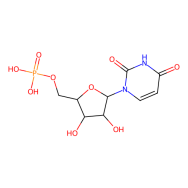Uridine 5′-monophosphate