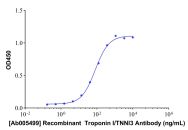 Recombinant  Troponin I/TNNI3 Antibody