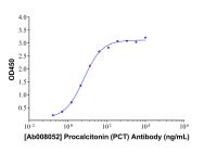 Procalcitonin (PCT) Mouse mAb