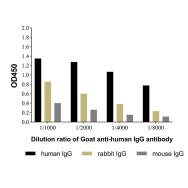 Goat Anti-Human IgG Antibody