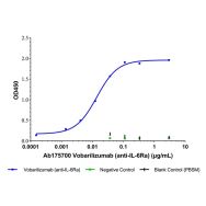 Vobarilizumab (anti-IL-6Ra)