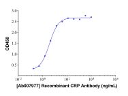 Recombinant CRP Antibody
