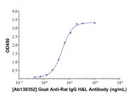 Goat Anti-Rat IgG H&L Antibody