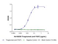 Tiragolumab (anti-TIGIT)