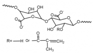 甲基丙烯酰化海藻酸钠（AlgMA）