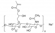 甲基丙烯酰化透明质酸（HAMA）