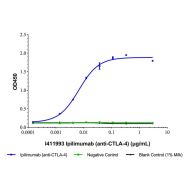 Ipilimumab (anti-CTLA-4)