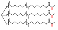 Polycaprolactone triol Methacryloyl
