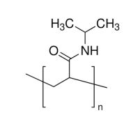 Poly(N-isopropylacrylamide)