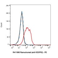 Ramucirumab (anti-VEGFR2)