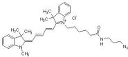 Cyanine5 azide (DMSO solution)