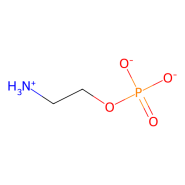 phosphoethanolamine